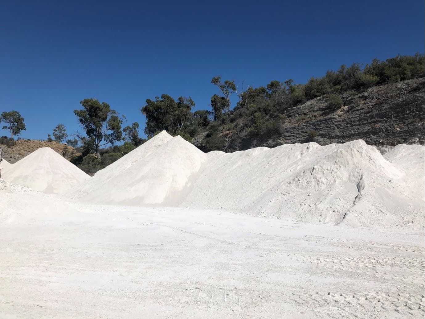 Premium Lime Products